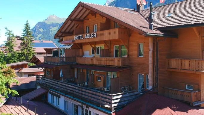 AdlerSpring
